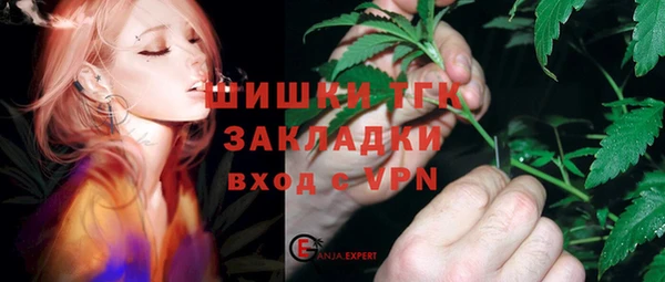 стаф Арсеньев