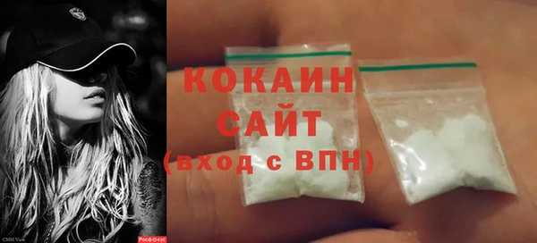 стаф Арсеньев