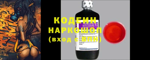 стаф Арсеньев