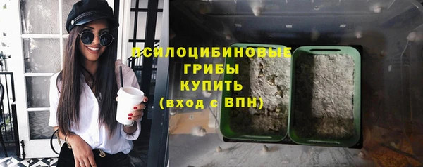 прущая мука Армянск