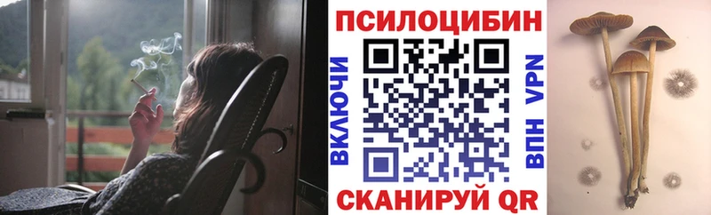 Галлюциногенные грибы Cubensis  Сатка 